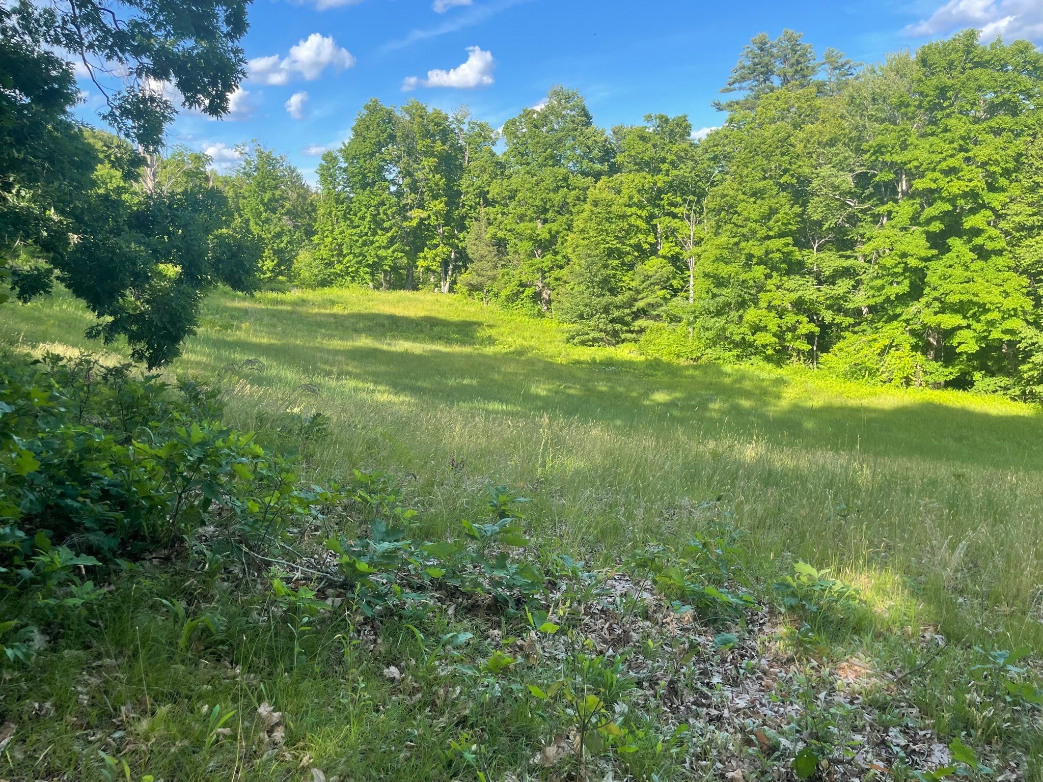 Lot 0 Mason Rd