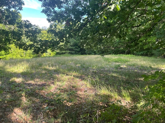 MASON RD, ASHBY, MA 01431 - Image c1641febcf5b2cf8a94cdddc8c5043e1/64440233