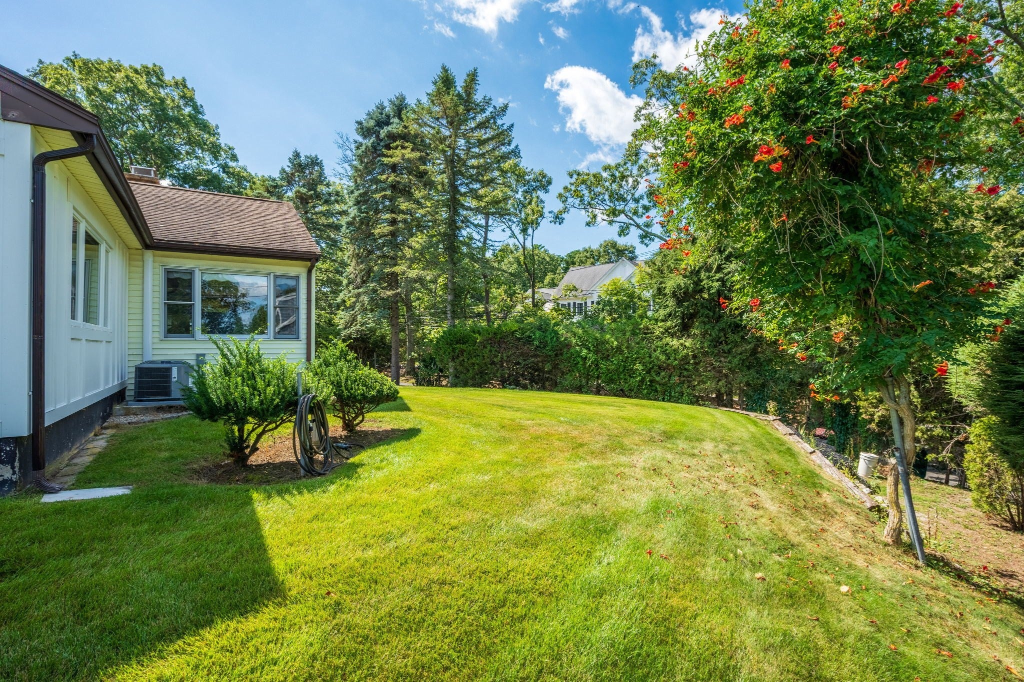 121 Wentworth Street, Dedham, MA, 121 Wentworth Street, Dedham, MA Photo #23