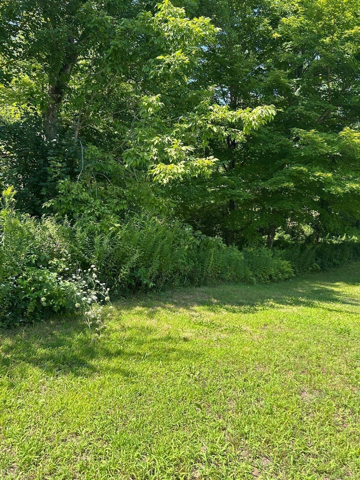 468 Podunk Road, East Brookfield, MA, 468 Podunk Road, East Brookfield, MA Photo #33