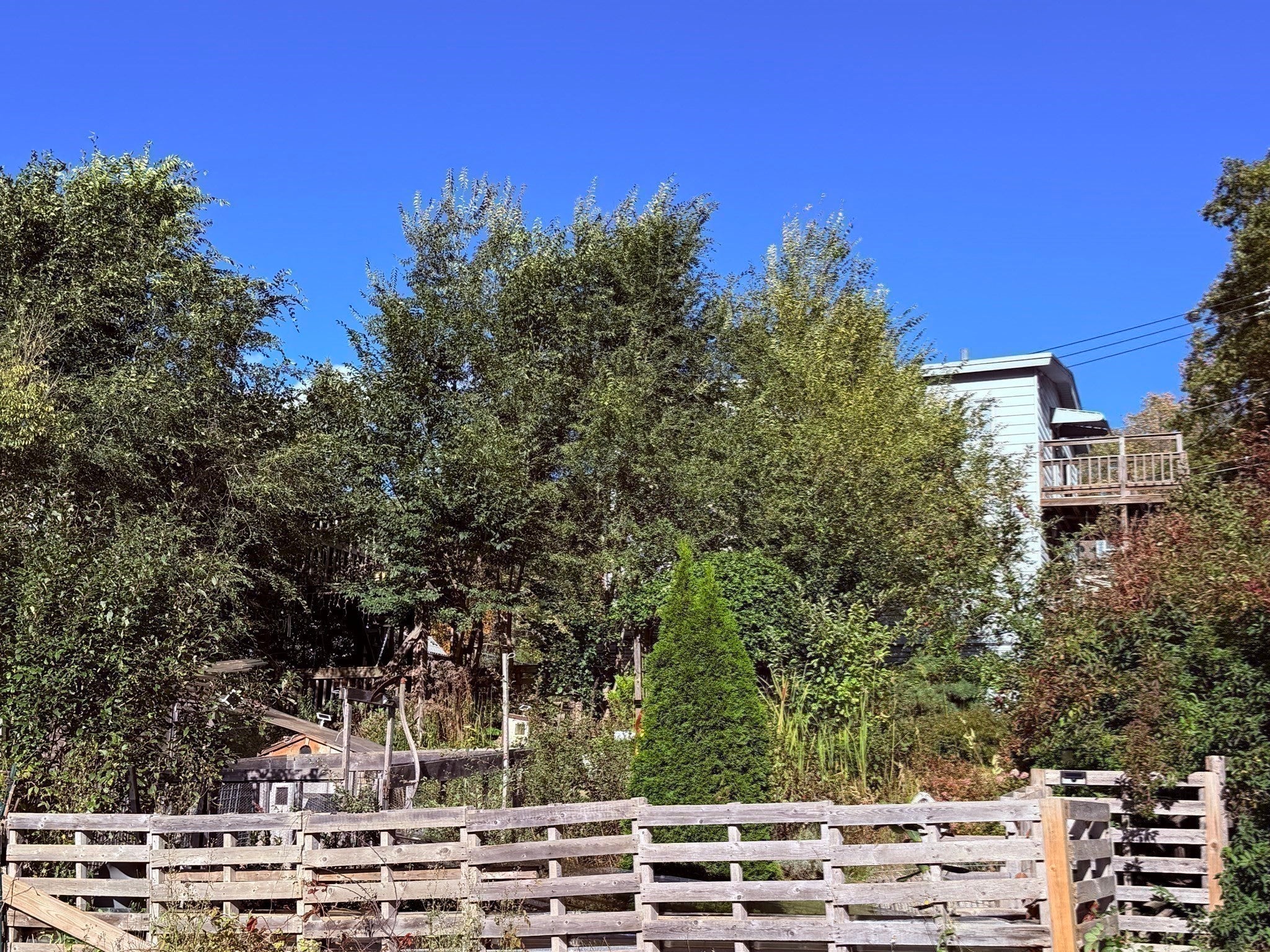 340 Park St, Gardner, MA Photo #29