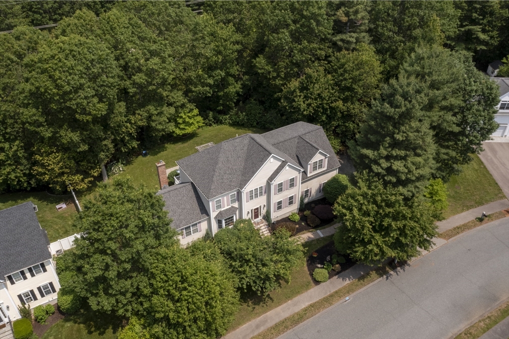 7 Tulip Way