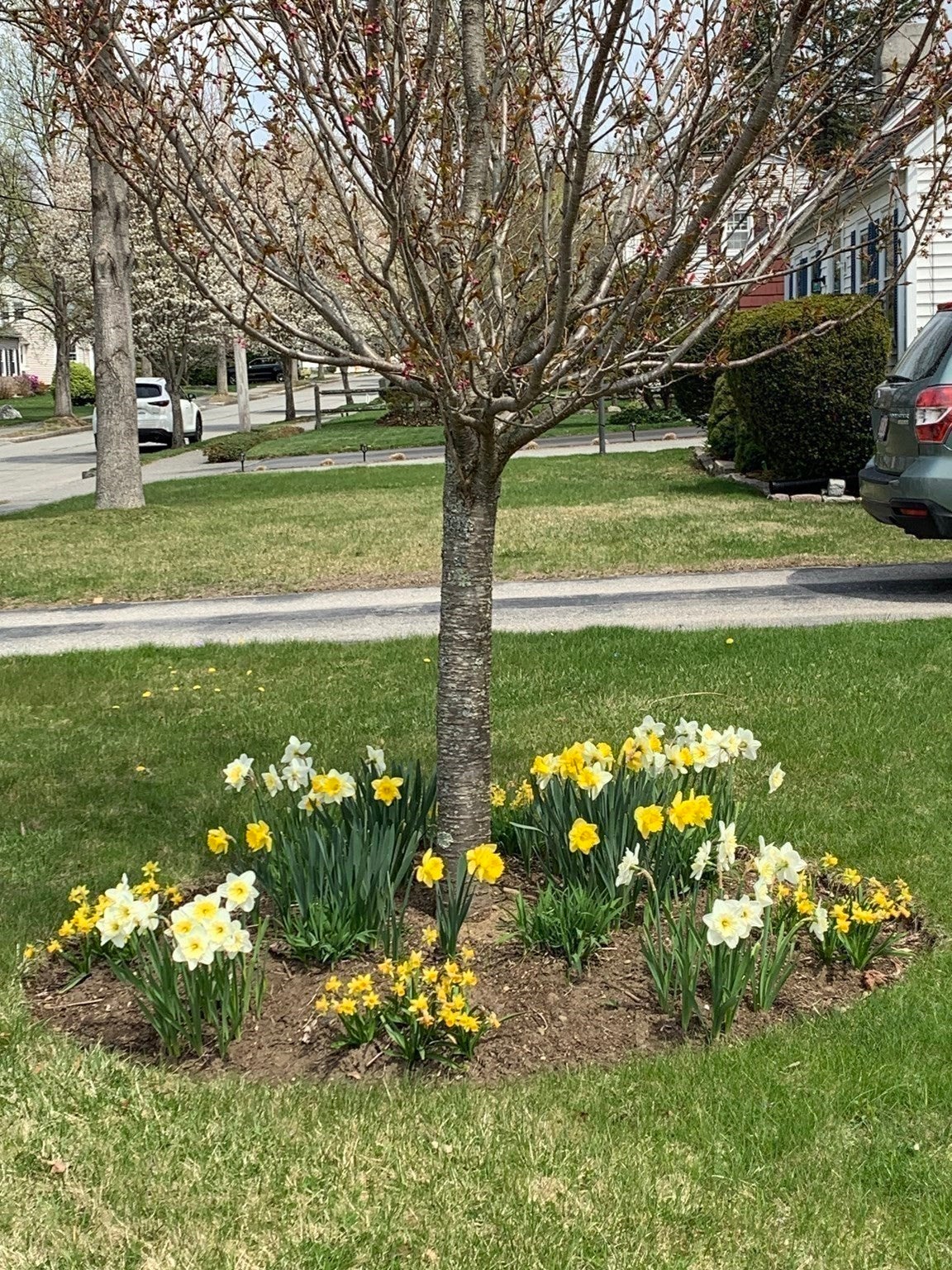 27 Mayflower Circle, Worcester, MA, 27 Mayflower Circle, Worcester, MA Photo #12