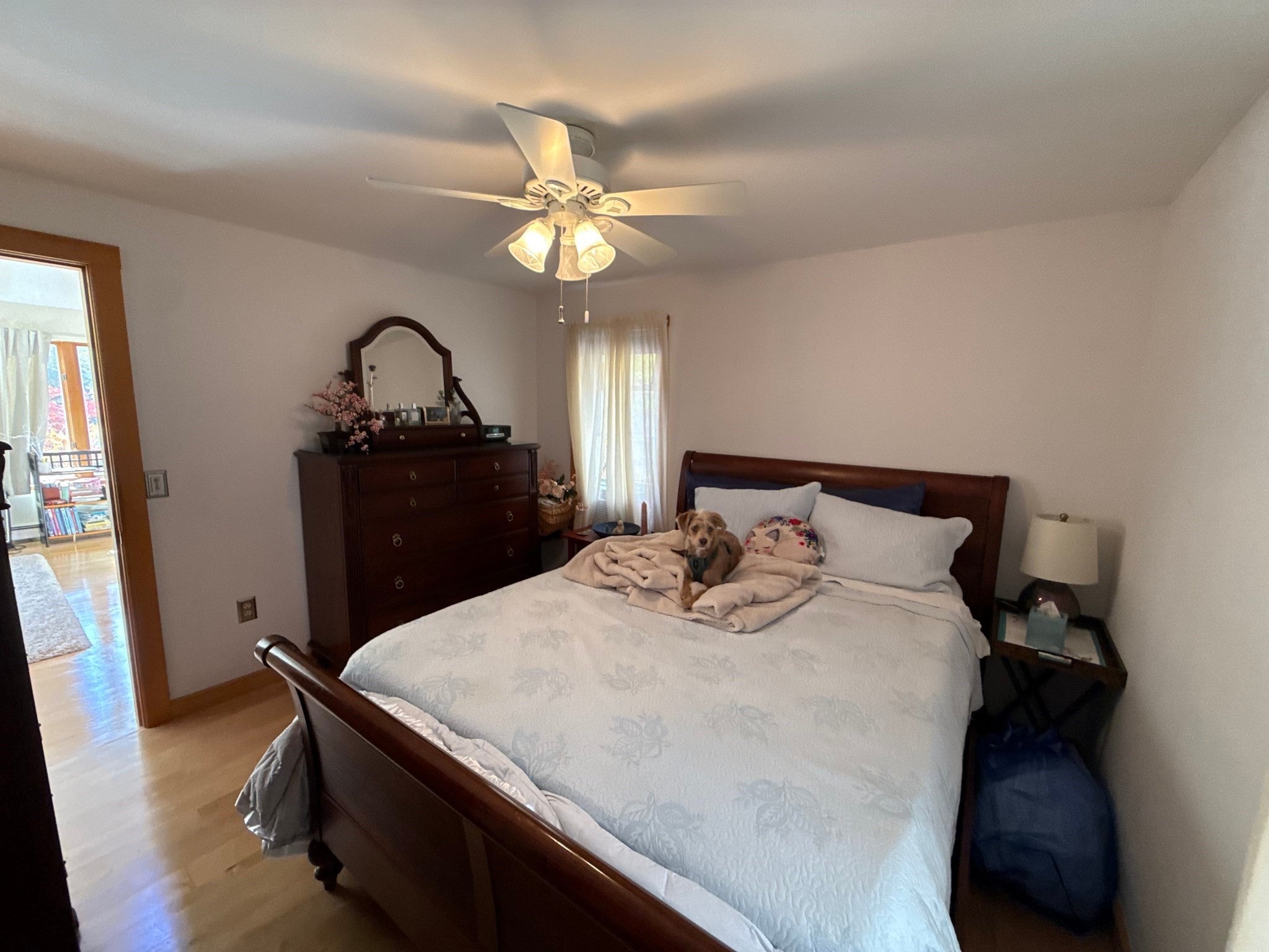 1905 Hawley Rd, Ashfield, MA, 1905 Hawley Rd, Ashfield, MA Photo #11