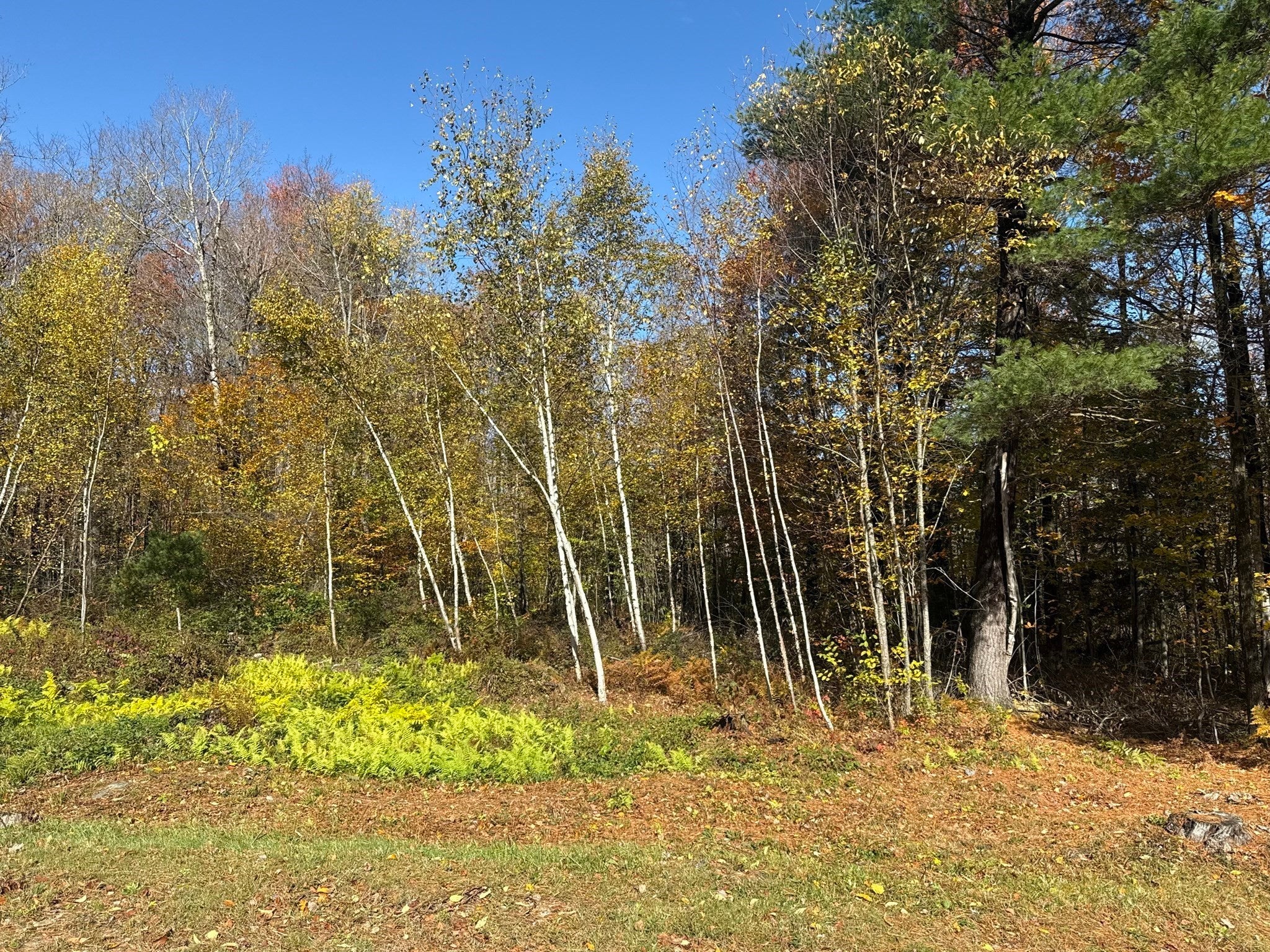 1905 Hawley Rd, Ashfield, MA, 1905 Hawley Rd, Ashfield, MA Photo #37