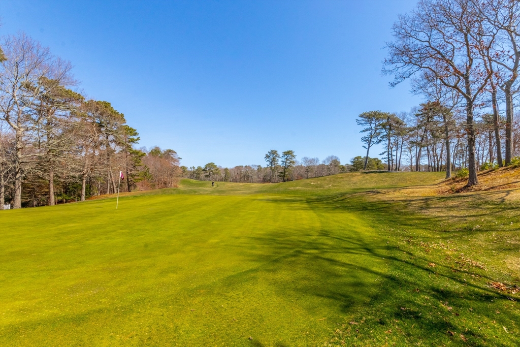 13 Hollyhock Knoll Ct 13