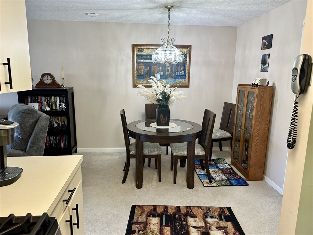 4234 N. Main Street 208
