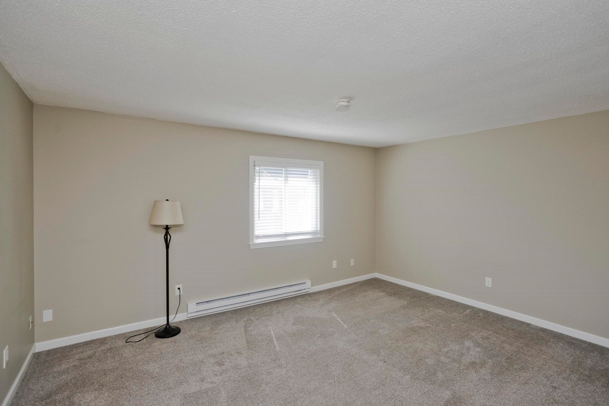 20 Lawrence Ave #38C, South Hadley, MA, 20 Lawrence Ave #38C, South Hadley, MA Photo #17