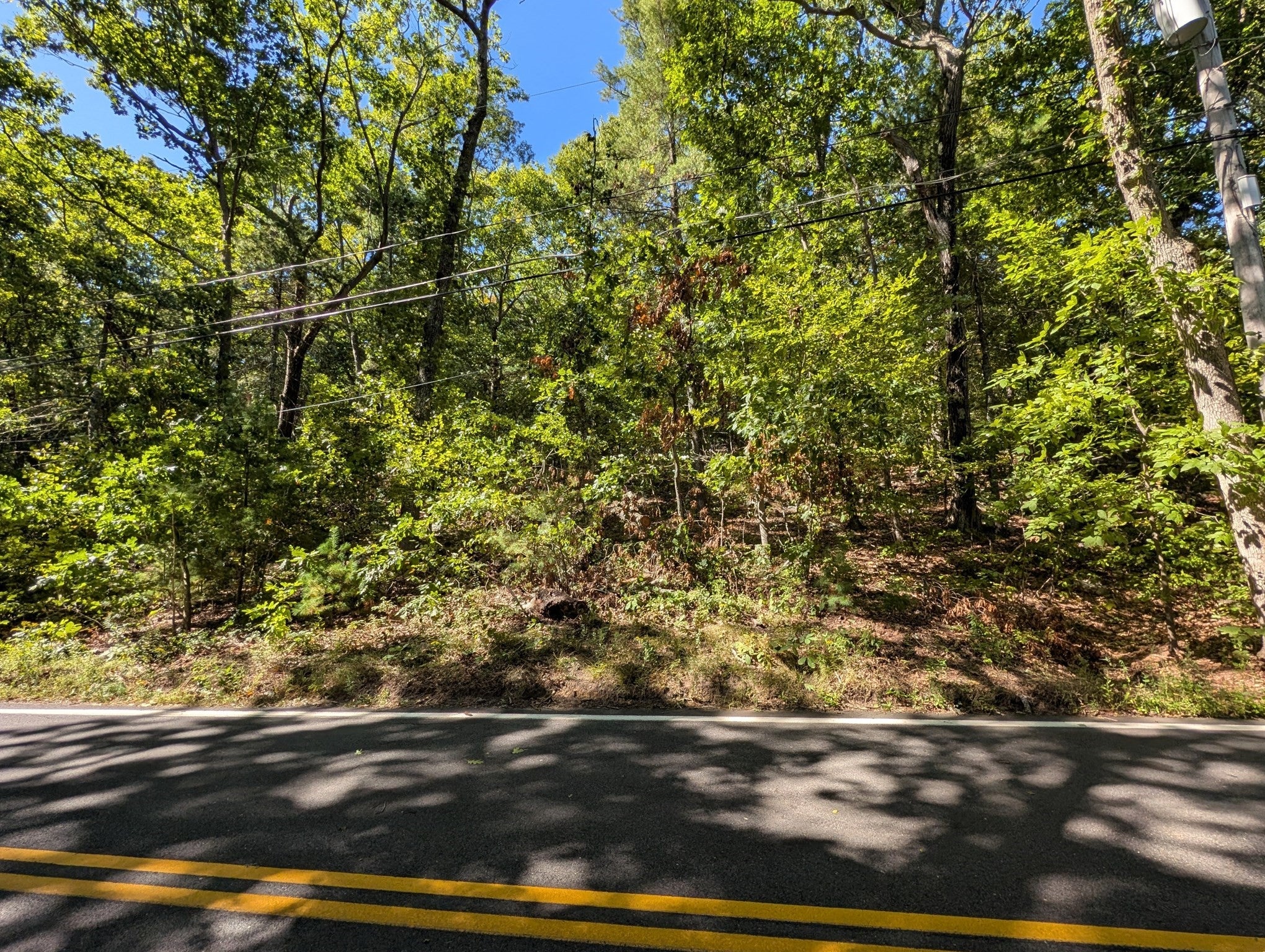 Lot 3 Pine Street