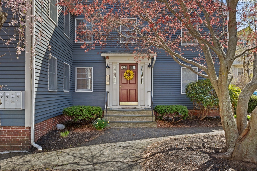 19 Wallis St 4