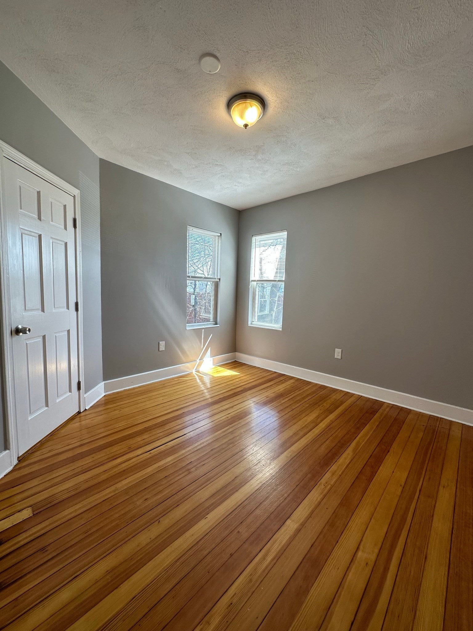 56 Everton Street #3, Boston, MA, 56 Everton Street #3, Boston, MA Photo #23