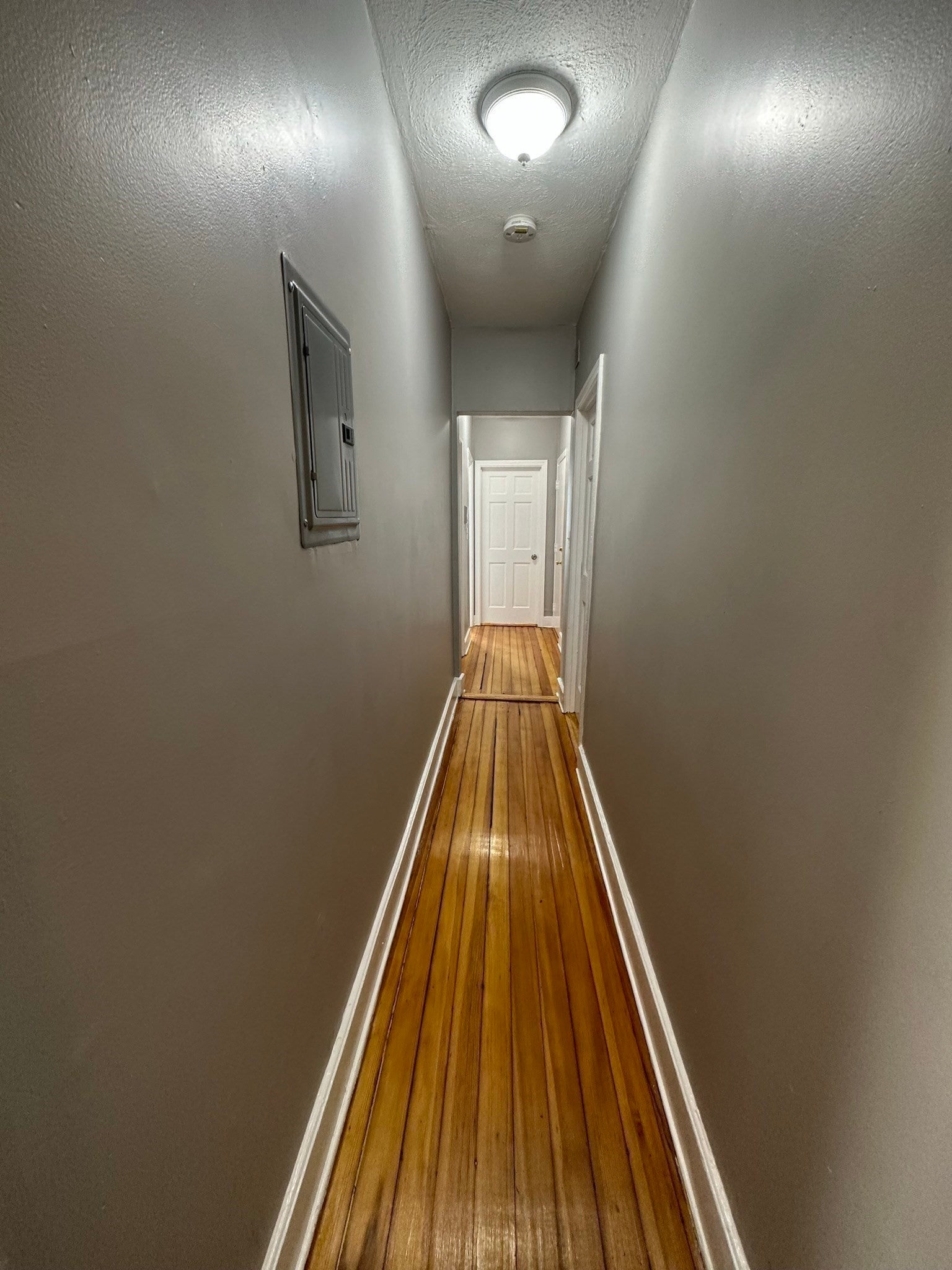 56 Everton Street #3, Boston, MA, 56 Everton Street #3, Boston, MA Photo #22