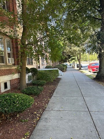 1710 Commonwealth Ave. 3