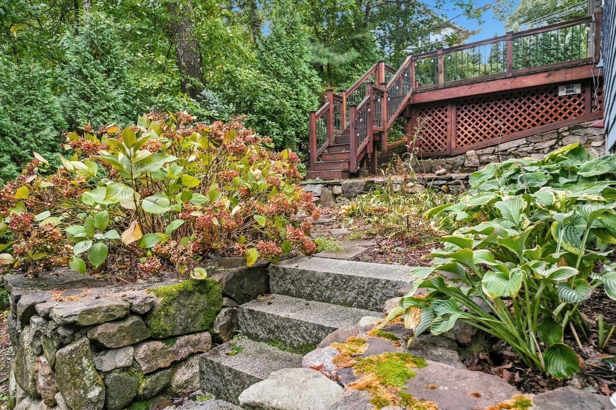 14 Highgate St, Needham, MA, 14 Highgate St, Needham, MA Photo #35