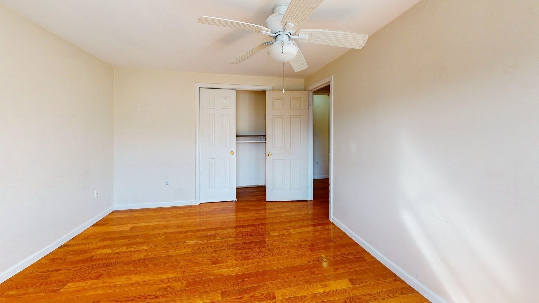 115 L St #1, Boston, MA, 115 L St #1, Boston, MA Photo #9