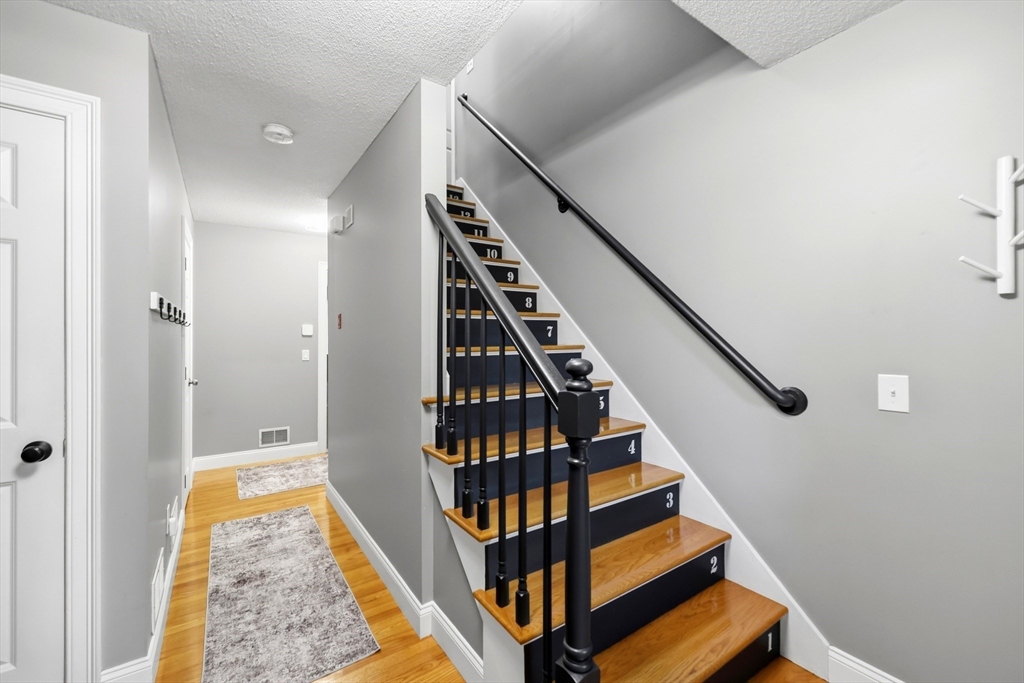 17 Homestead St