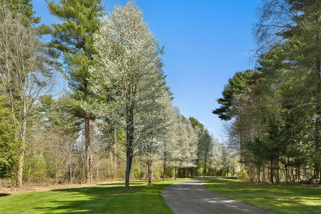 59 Anderson Farm Rd