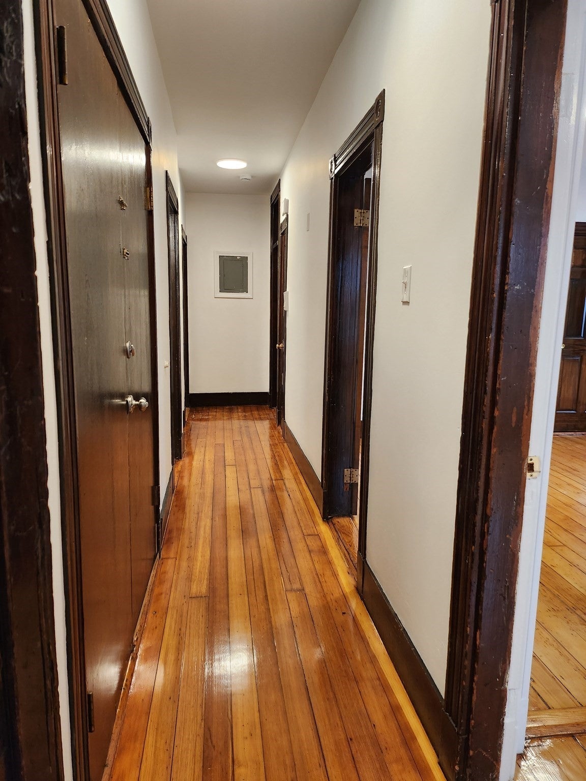 47R Creighton St #2, Boston, MA, 47R Creighton St #2, Boston, MA Photo #17