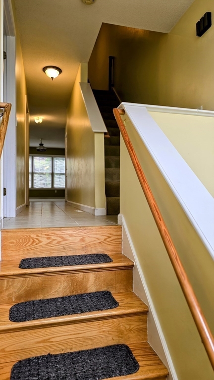 18 Palmer Road 7