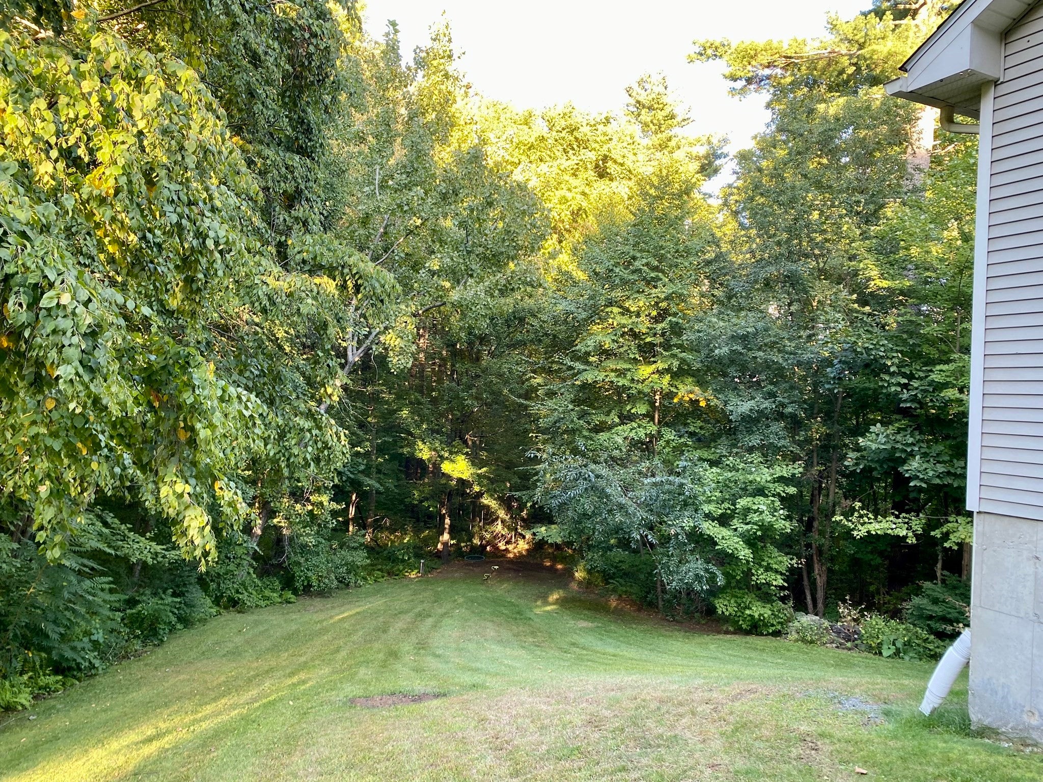 7 Hemlock Hollow