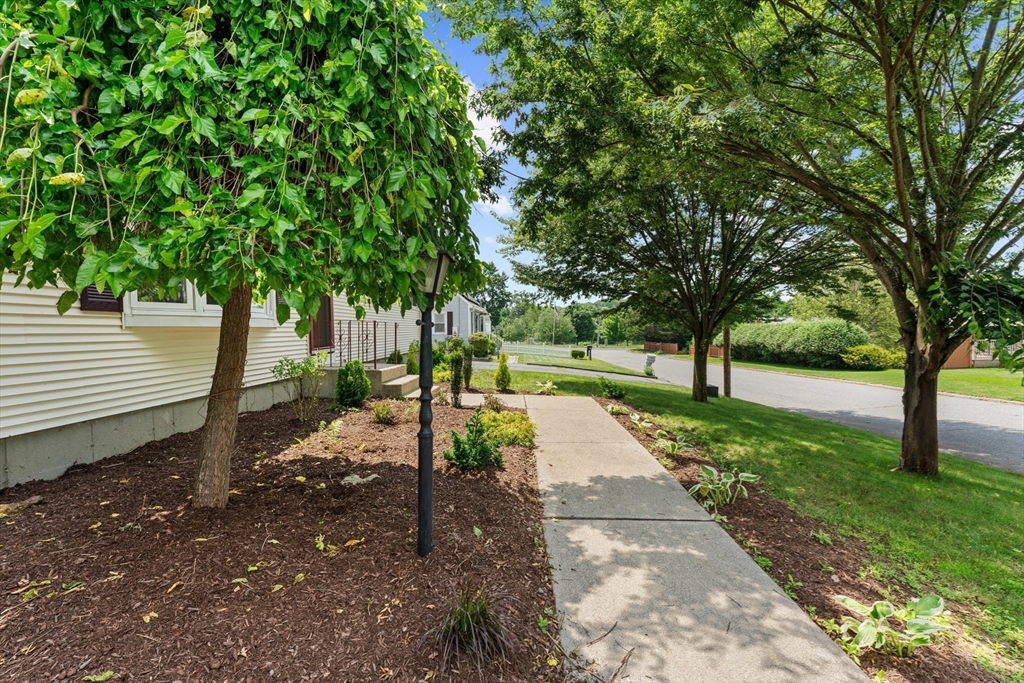 23 Pennfield St