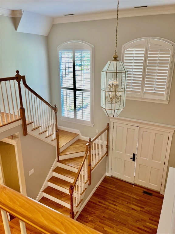 11 Scotland Dr