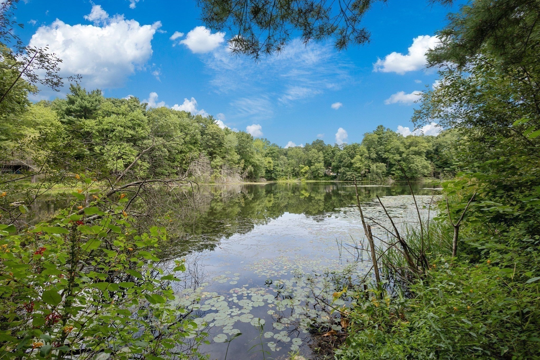 3 Lealand Peck Dr, Wrentham, MA, 3 Lealand Peck Dr, Wrentham, MA Photo #41
