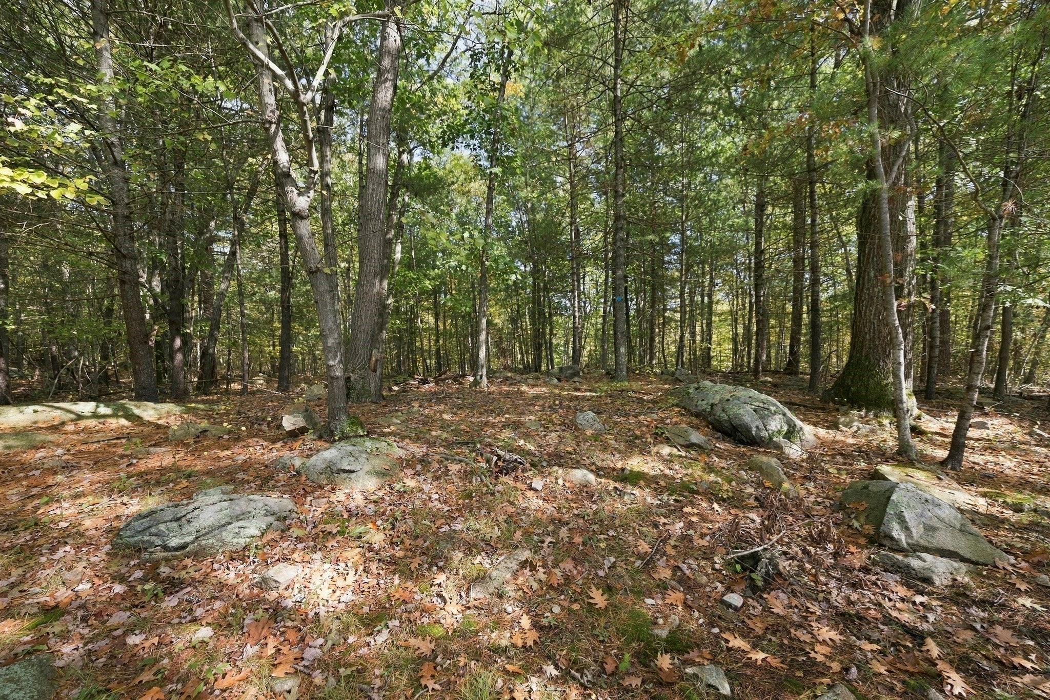 252 Leavitt St, Hingham, MA, 252 Leavitt St, Hingham, MA Photo #30