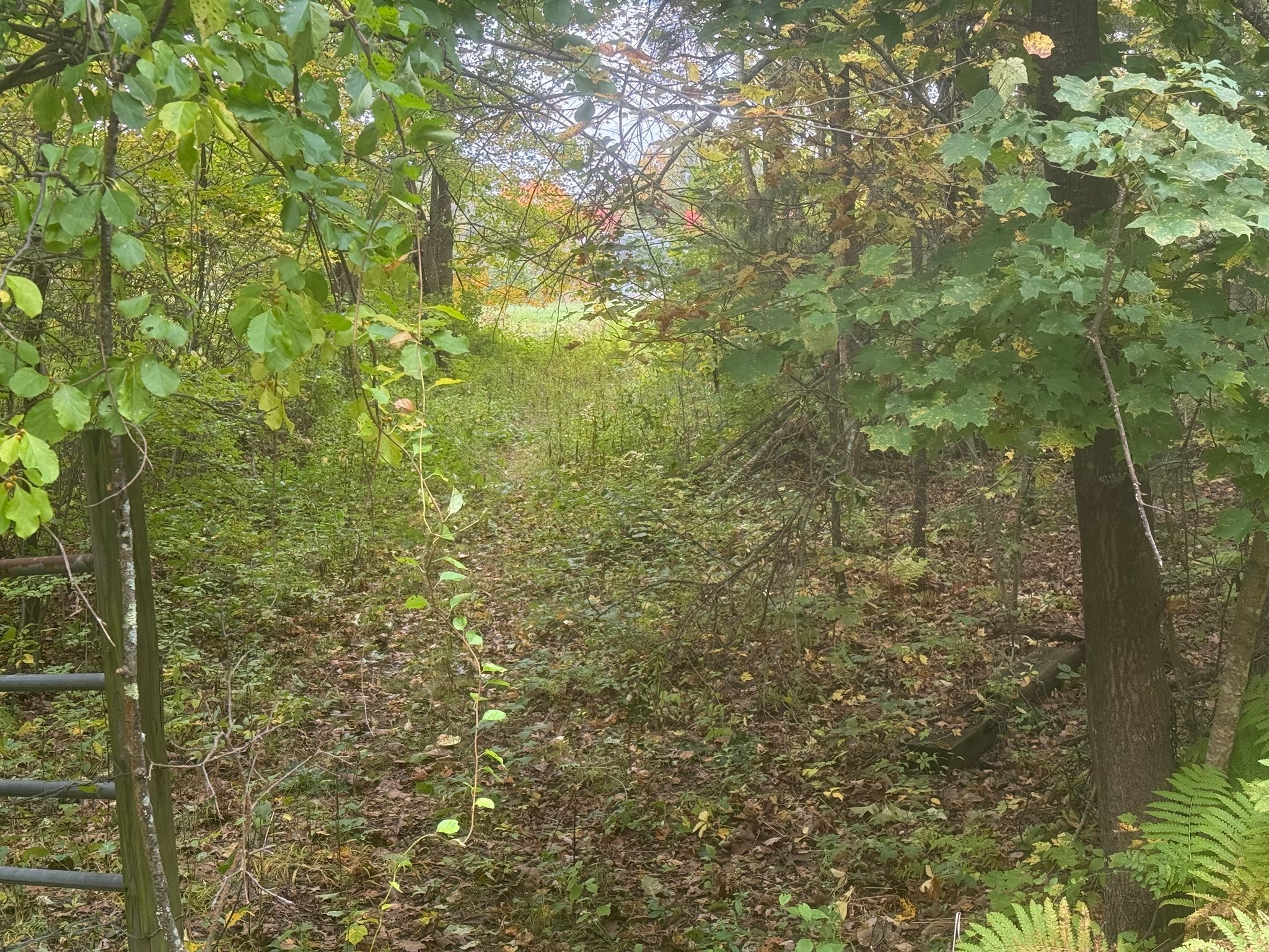 Lot 2A North Liberty St.
