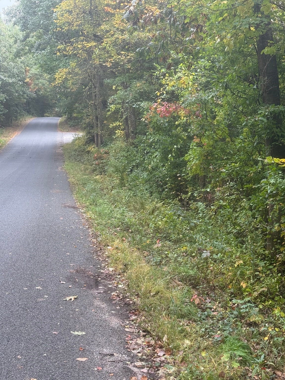 Lot 2A North Liberty St.