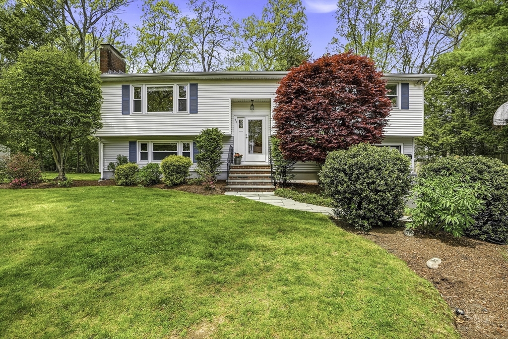 56 Yarmouth Rd, Norwood, MA Photo #1
