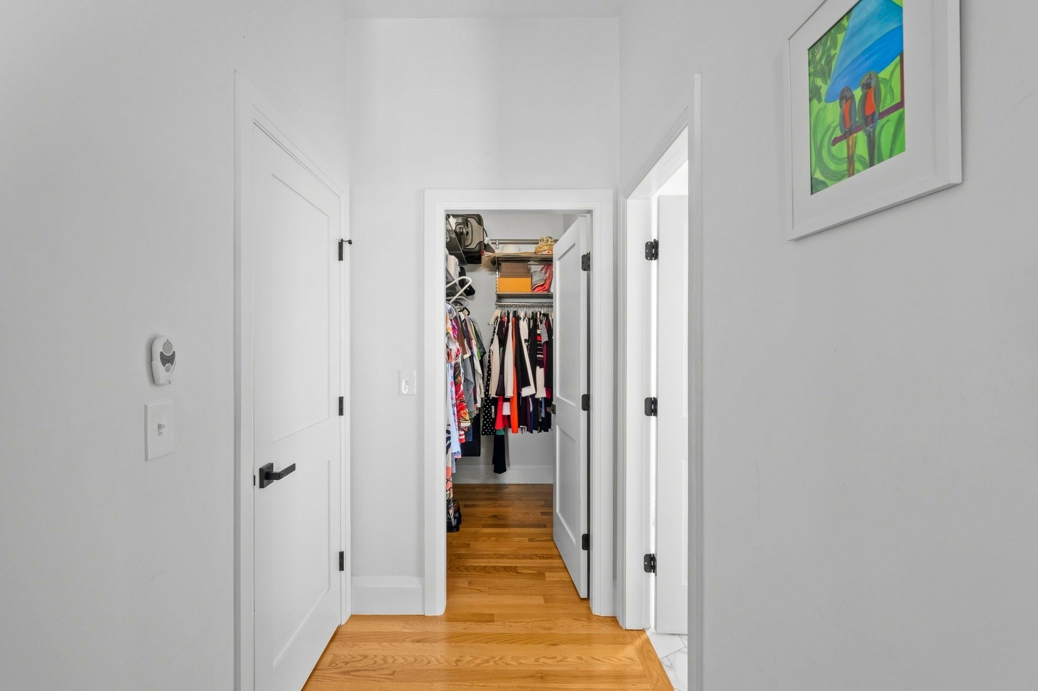 81 Homes Ave #3, Boston, MA Photo #25