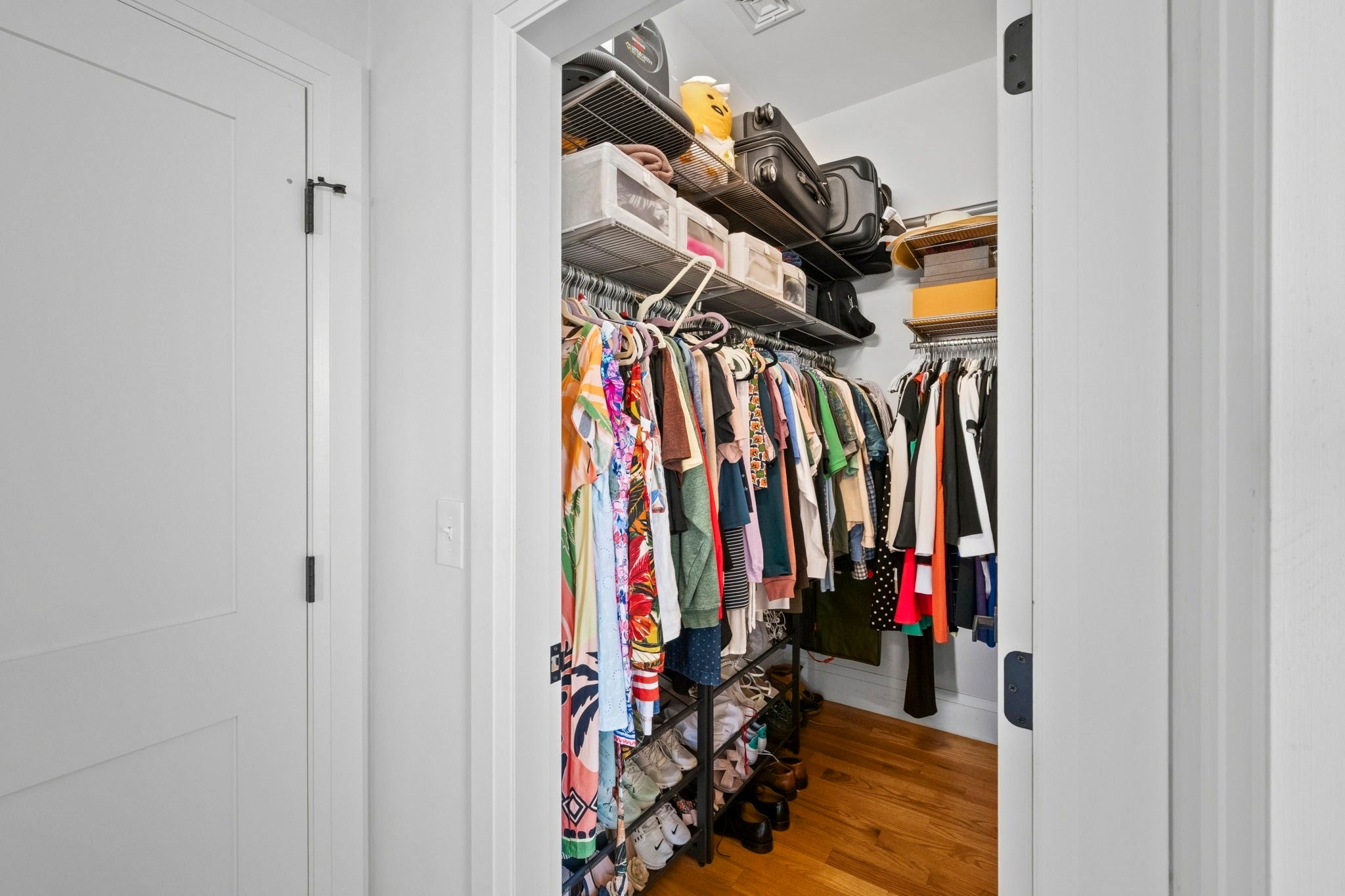 81 Homes Ave #3, Boston, MA Photo #24