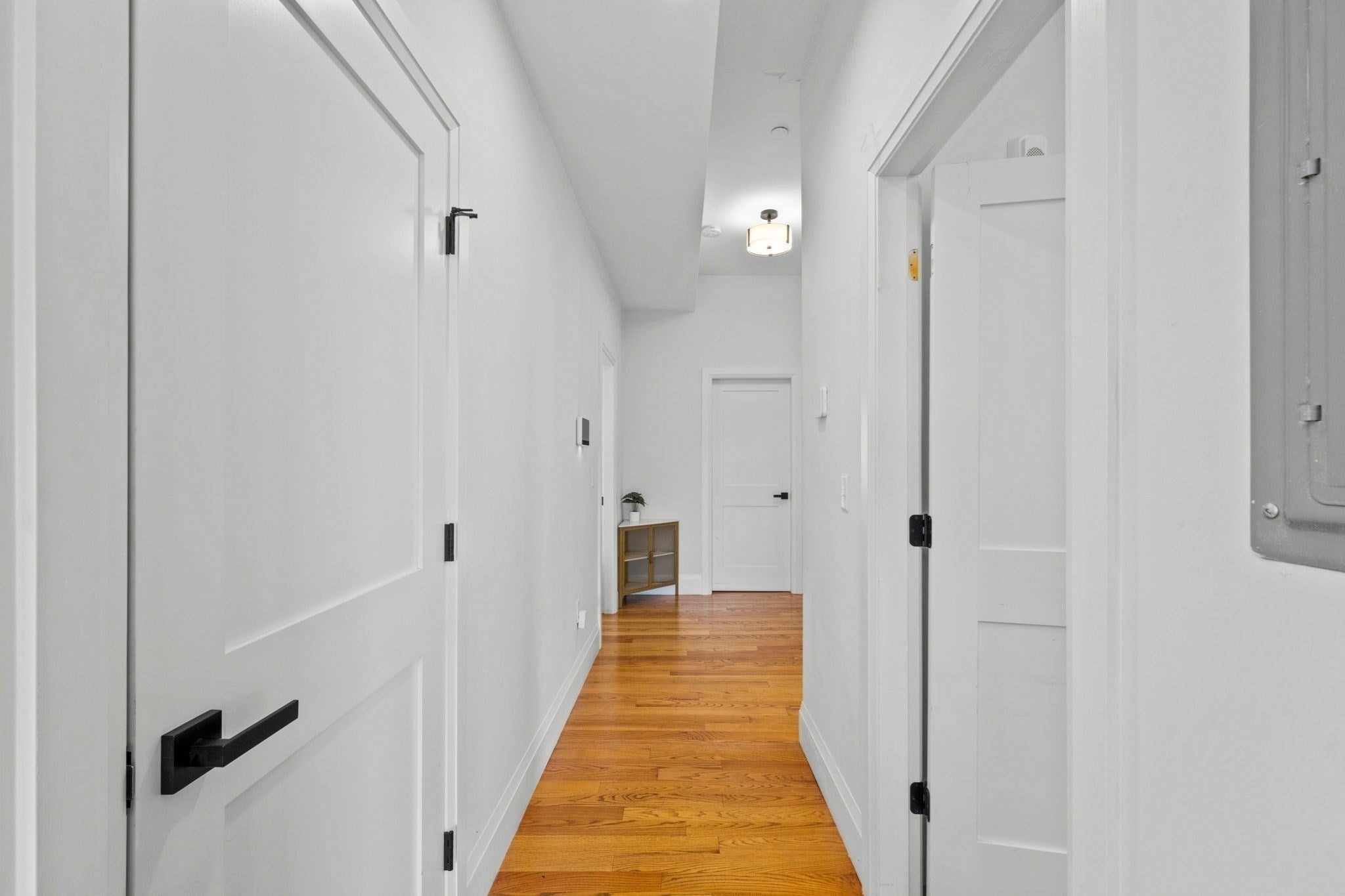 81 Homes Ave #3, Boston, MA Photo #13
