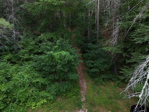 Photo of 0 Amherst Rd, Pelham, MA 01002 (MLS # 73461624)