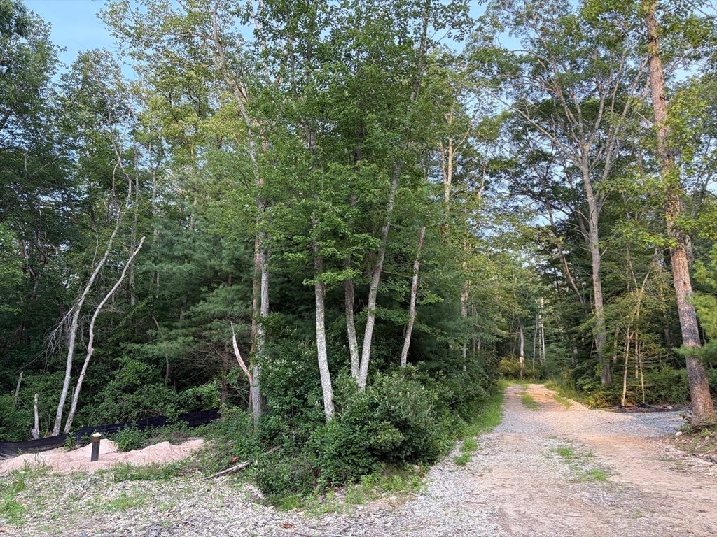 6 Peters Farm Lane