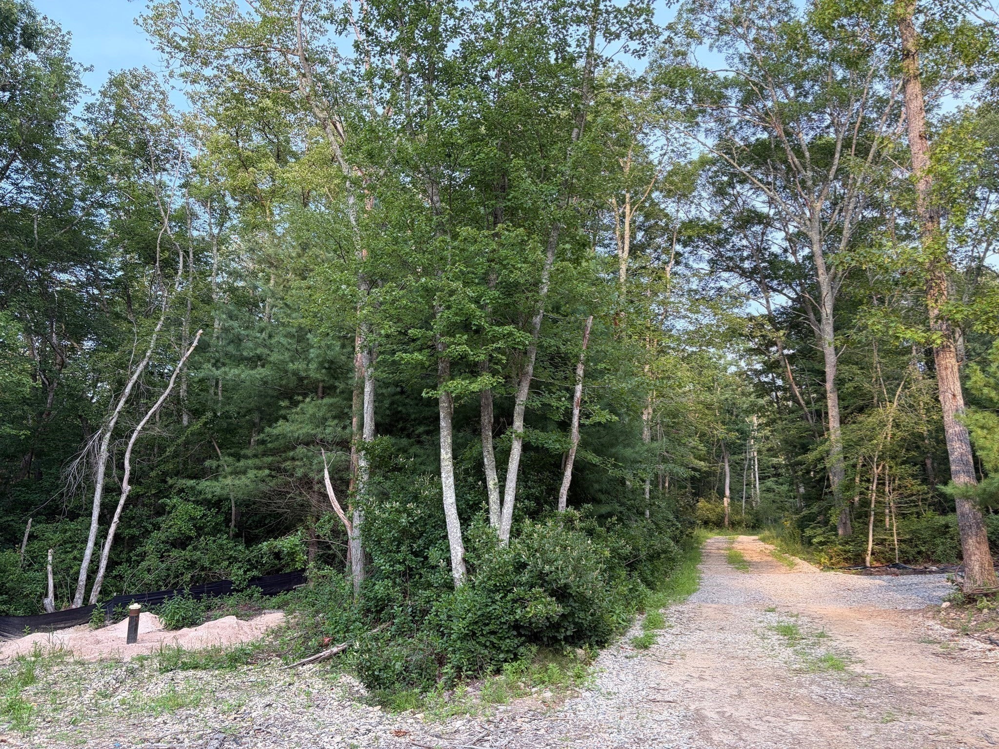 6 Peters Farm Lane