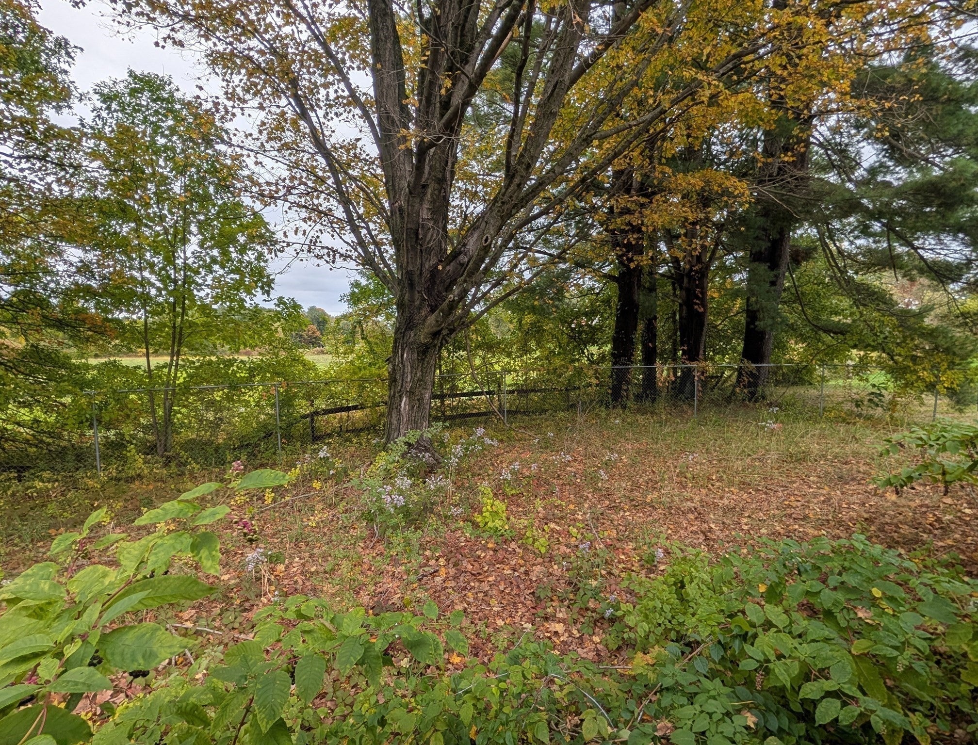 341 Haydenville Rd, Whately, MA, 341 Haydenville Rd, Whately, MA Photo #19
