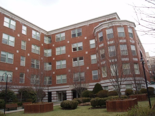 25 Marion St 24