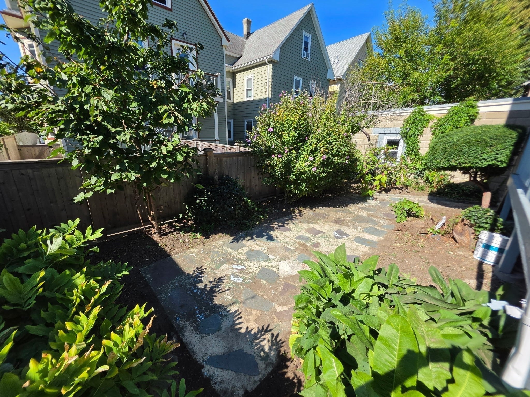 6 Malvern Ave #1, Somerville, MA, 6 Malvern Ave #1, Somerville, MA Photo #20