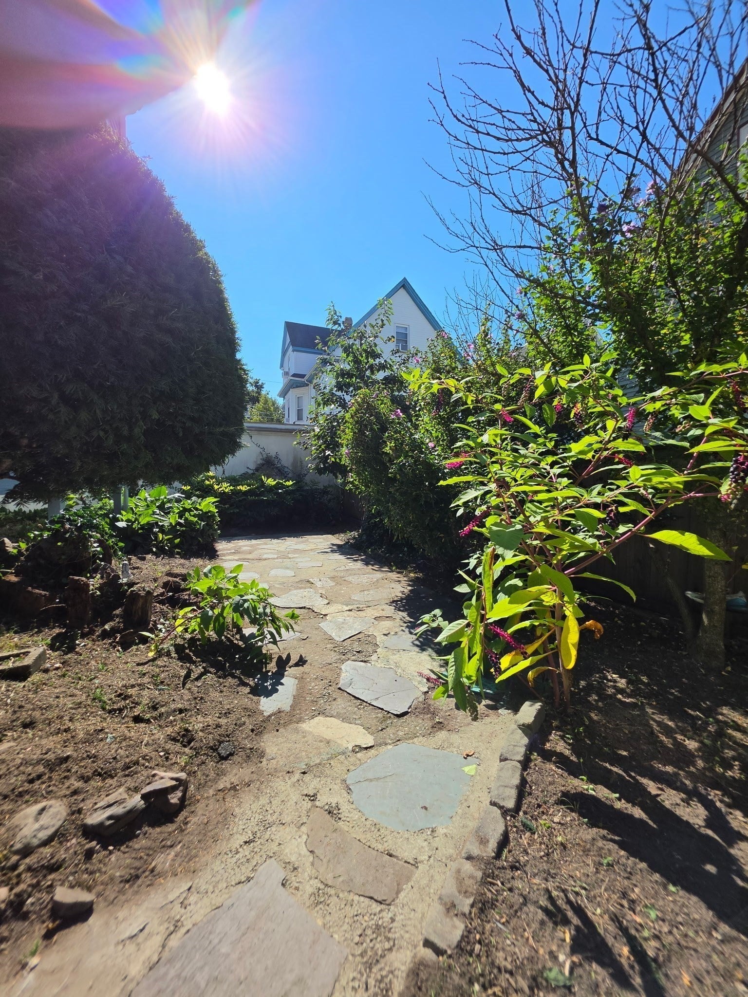 6 Malvern Ave #1, Somerville, MA, 6 Malvern Ave #1, Somerville, MA Photo #19