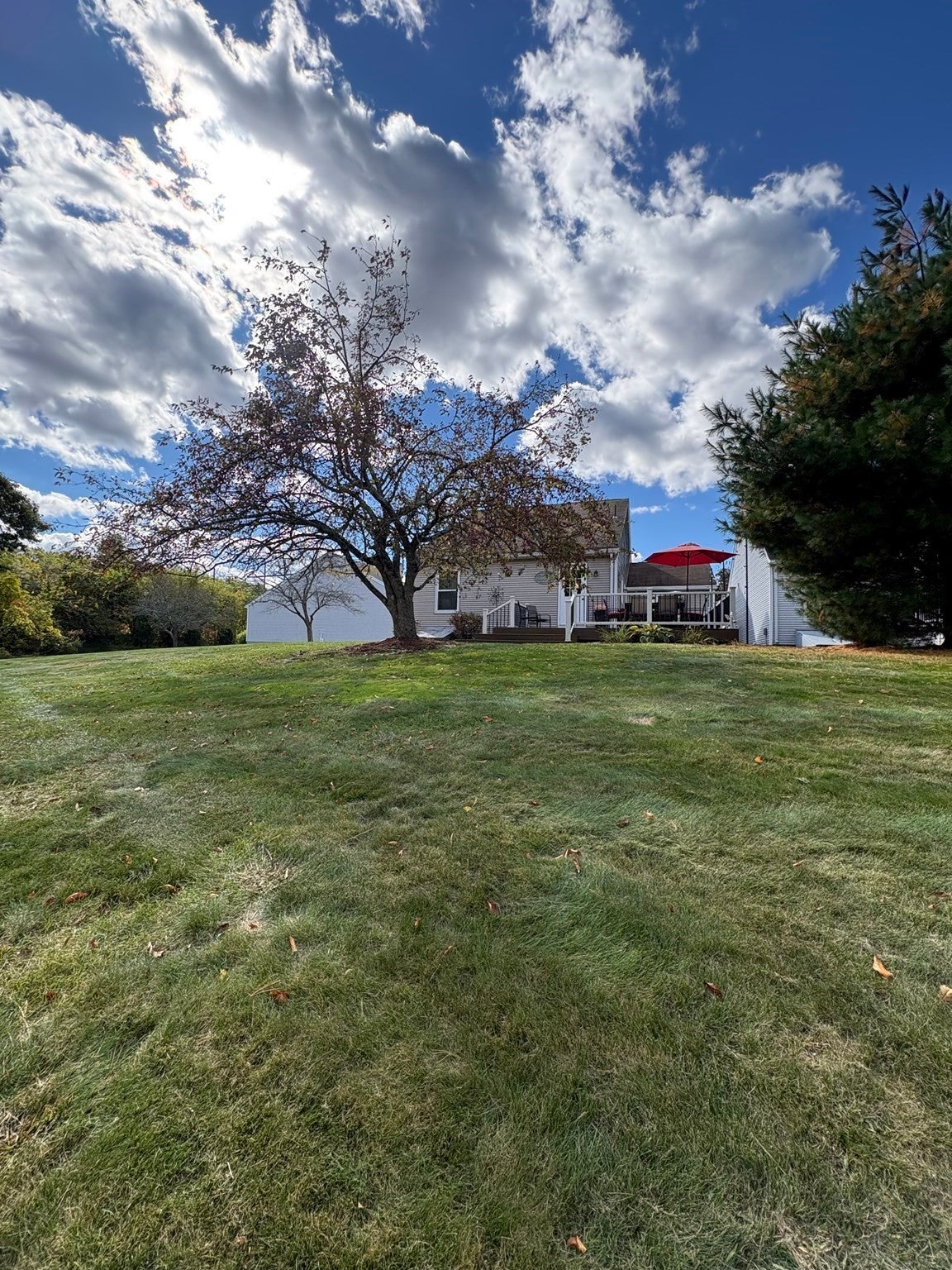 119 Alvord Pl #119, South Hadley, MA, 119 Alvord Pl #119, South Hadley, MA Photo #24