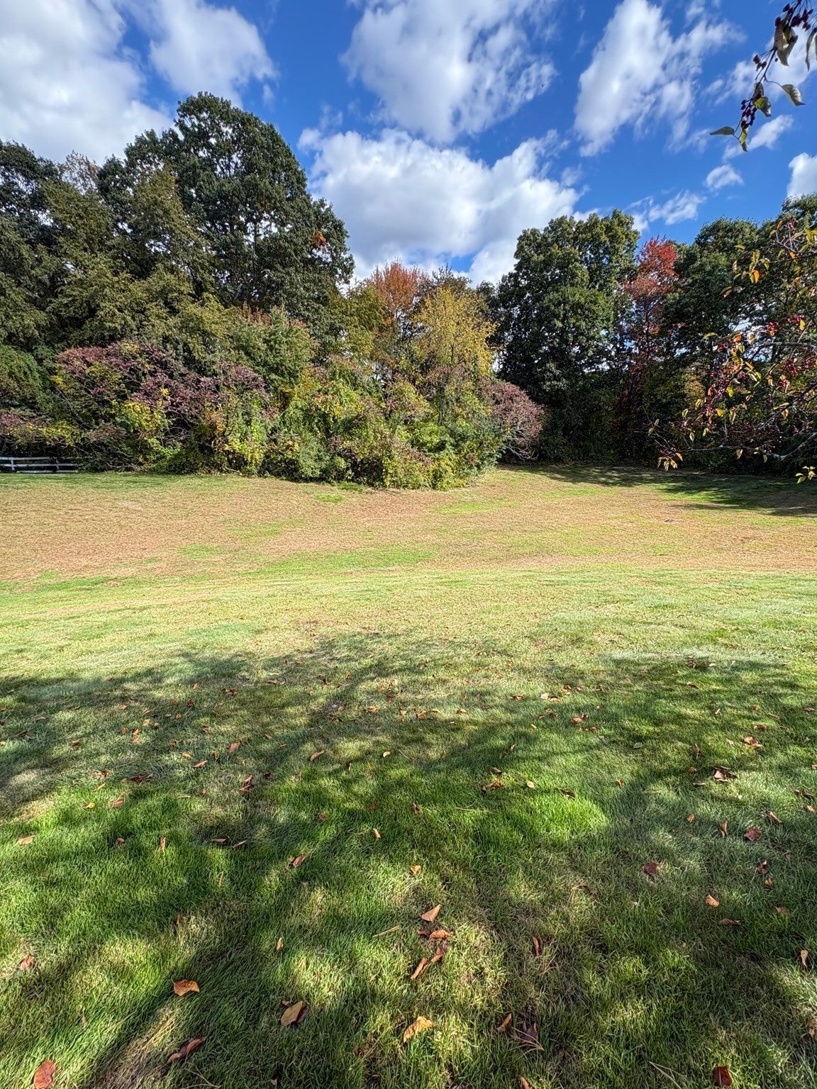 119 Alvord Pl #119, South Hadley, MA, 119 Alvord Pl #119, South Hadley, MA Photo #25