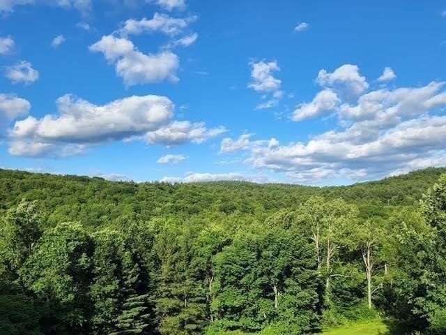 765 North Poland Rd, Conway, MA, 765 North Poland Rd, Conway, MA Photo #38