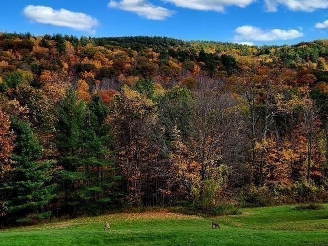 765 North Poland Rd, Conway, MA, 765 North Poland Rd, Conway, MA Photo #36