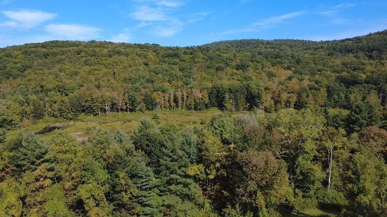 765 North Poland Rd, Conway, MA, 765 North Poland Rd, Conway, MA Photo #6