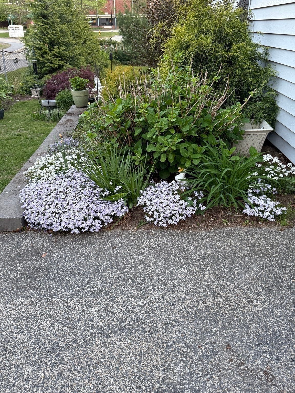 100 Academy Avenue, Weymouth, MA, 100 Academy Avenue, Weymouth, MA Photo #34