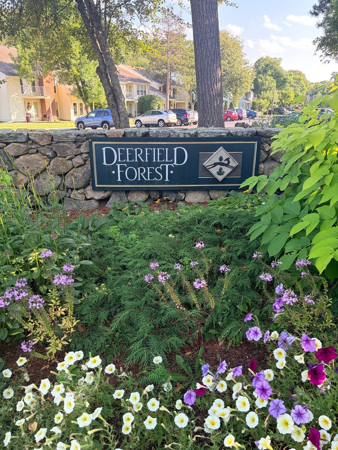 20 Walden Dr #20, Natick, MA, 20 Walden Dr #20, Natick, MA Photo #33