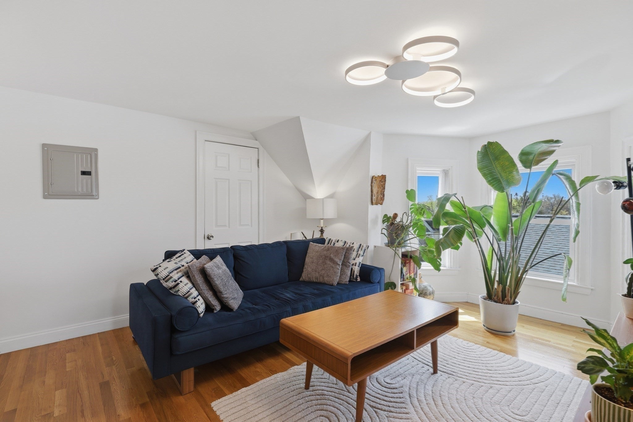 13 Roy Street 3