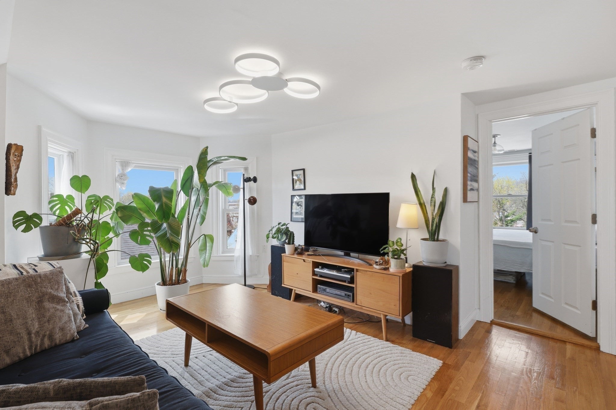 13 Roy Street 3